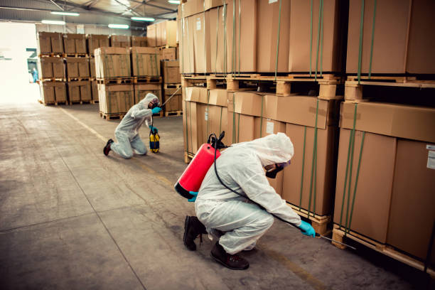 Best Wildlife Control Services  in Beaver, OK