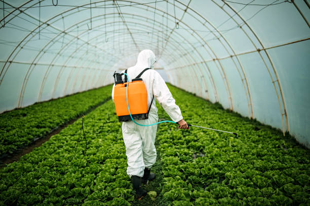 Best Best Pest Control Companies  in Beaver, OK