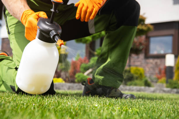 Best Exterminator Services  in Beaver, OK