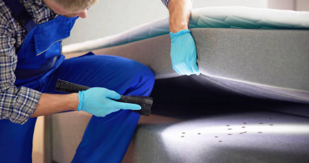 Best Termite Control Services  in Beaver, OK