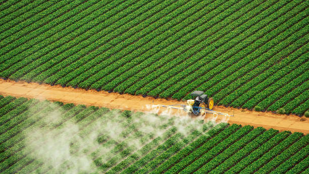 Best Pest Control for Homes  in Beaver, OK