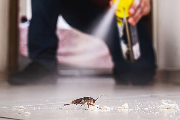 Best Pest Prevention Services  in Beaver, OK