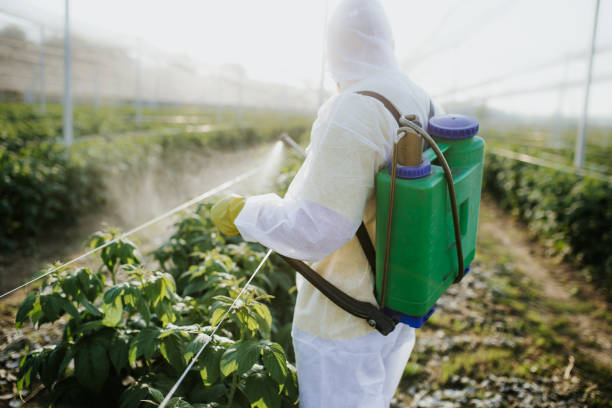 Best Pest Inspection Near Me  in Beaver, OK